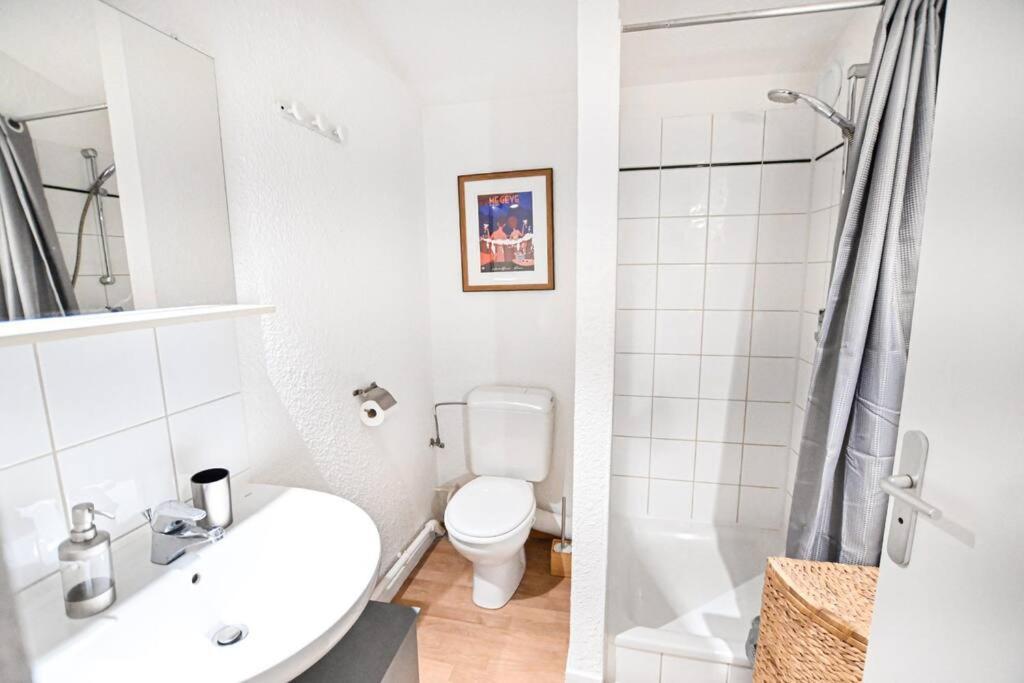 Apartmán Le Balcon Des Neiges Praz-sur-Arly Exteriér fotografie